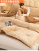 Sleeping grid milk velvet embroidery flower winter quilt core