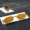 Trendy Retro Hip-Hop Fashion Sunglasses For Men Women- Fashionable Streetwear Accessory