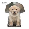 Nové pánské tričko Funny Casual Dog 3D s krátkým rukávem Styl Harajuku Pet Print Top Roztomilé zvířecí tričko Labrador Retriever