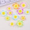 Colorful Plumeria Resin Charms: DIY Cream Glue Accessories for Crocs, Hair Clips, Earrings, Phone Cases