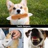 Squeaky Toys, Plush Small Dog Toys, Stuffed with Squeakers, 12 pcs Puppy Toys with Carrying Bag, Suitable for Small Medium Size