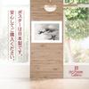 Poster: Yokoyama Taikan's "Leaping Dragon" (Japanese Painting), A3 Size [Made In Japan] [Interior Wallpaper] Painting Art Wallpaper Poster