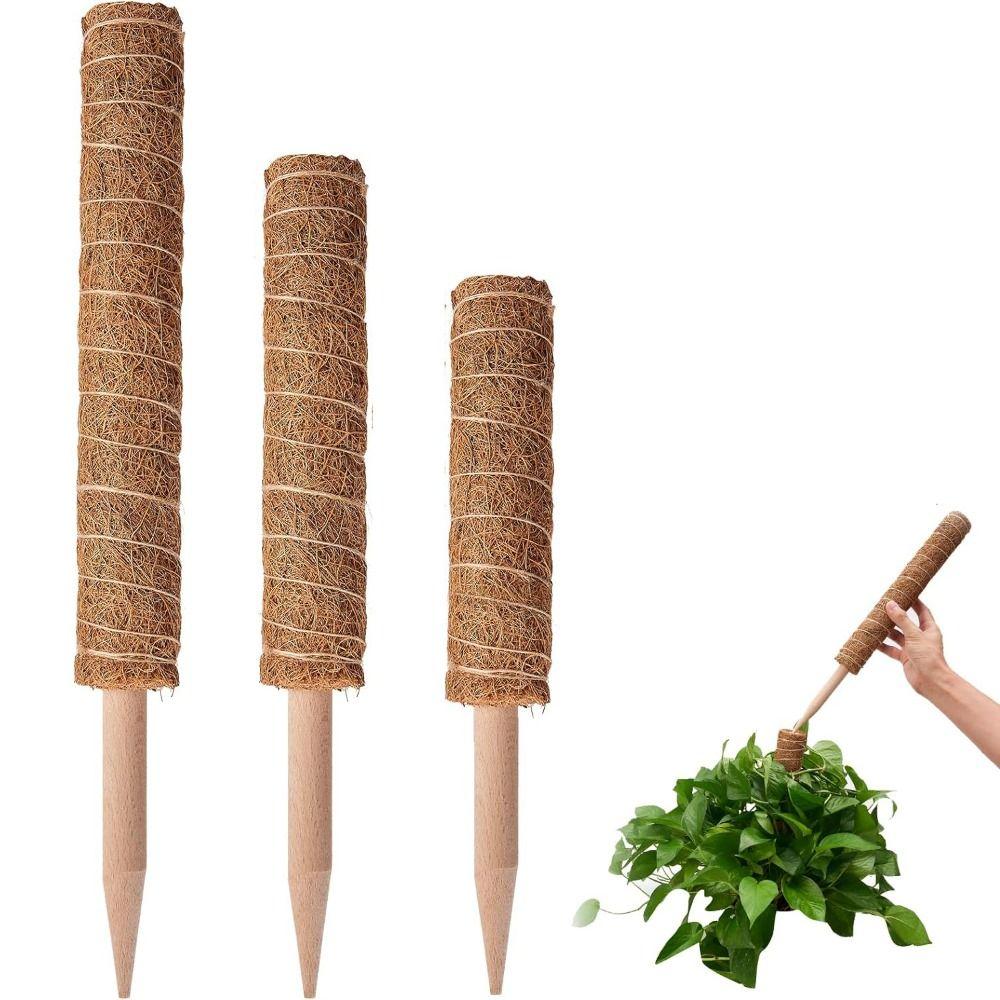Stevige Plantensteunen 30/40/50cm Kokostotempalen Duurzame Mosstokken Huis