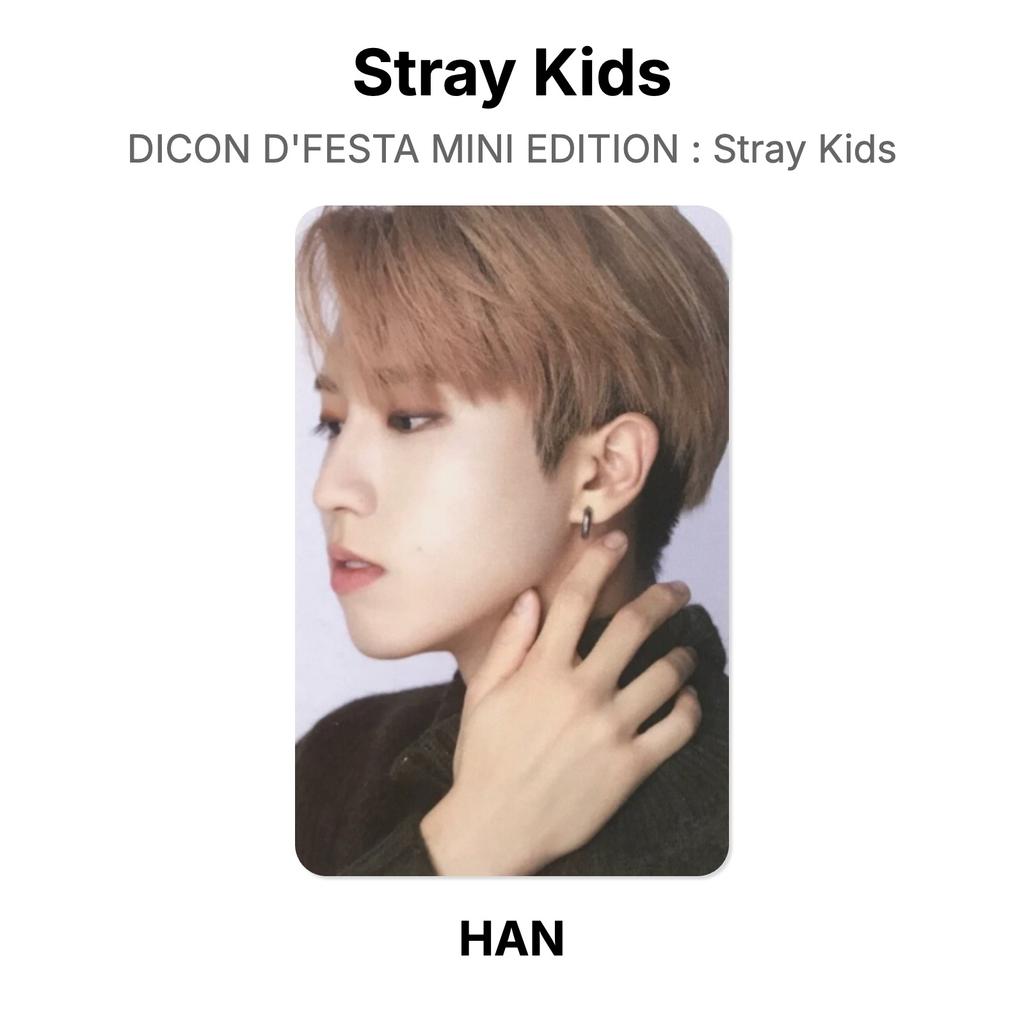 Stray Kids DICON D'FESTA MINI EDITION : Offizielle Stray Kids Fotokarte