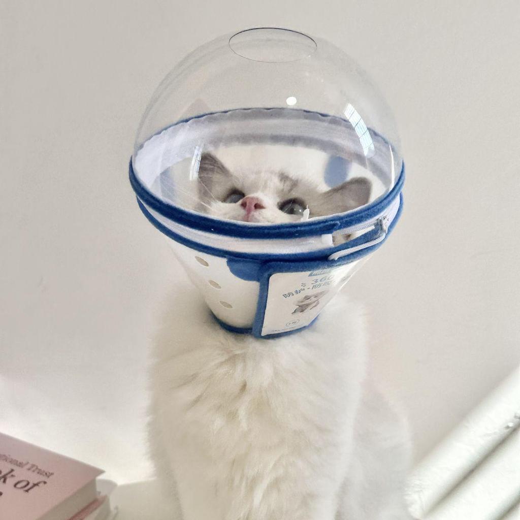 Anti-Leck- und Beiß-Elizabeth-Kragen für kleine Hunde - Vertiefte Kopfbedeckung Maulkorb zum Spazierengehen