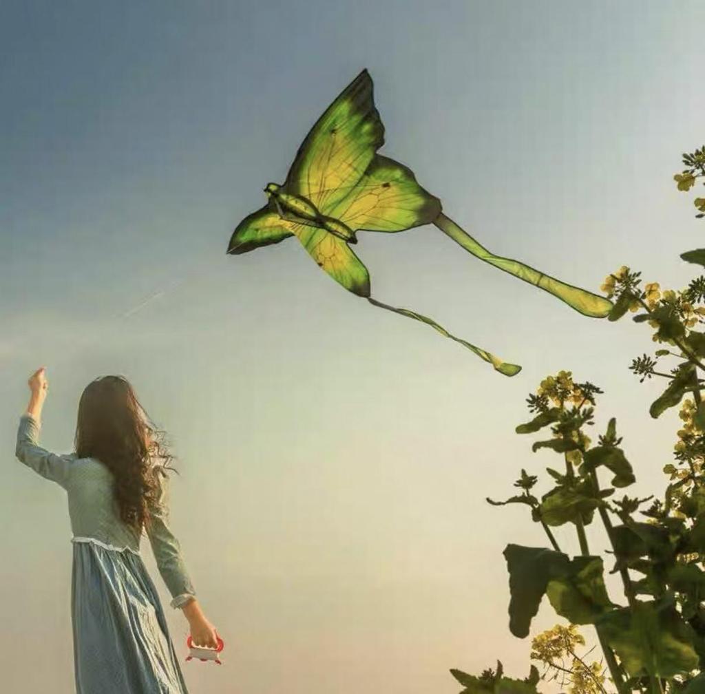 Weifang Kinder Schmetterlingsdrachen - Leicht zu fliegen, Leichter Wind, Perfekt für Fotografie und Spaß im Park