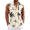 Men's Hawaiian Lapel Button-down Shirt T-shirt Top