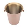Ice Bucket with Handles Stainless Steel Beer Wine Beverage Cooling Tub for Home Bar 5L Capacity