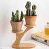 Unique Tree Branch Shaped Succulent Pot Stand Wooden Desktop Succulent Plant Pots Holder Flowerpots for Windowsill Tabletop Decor