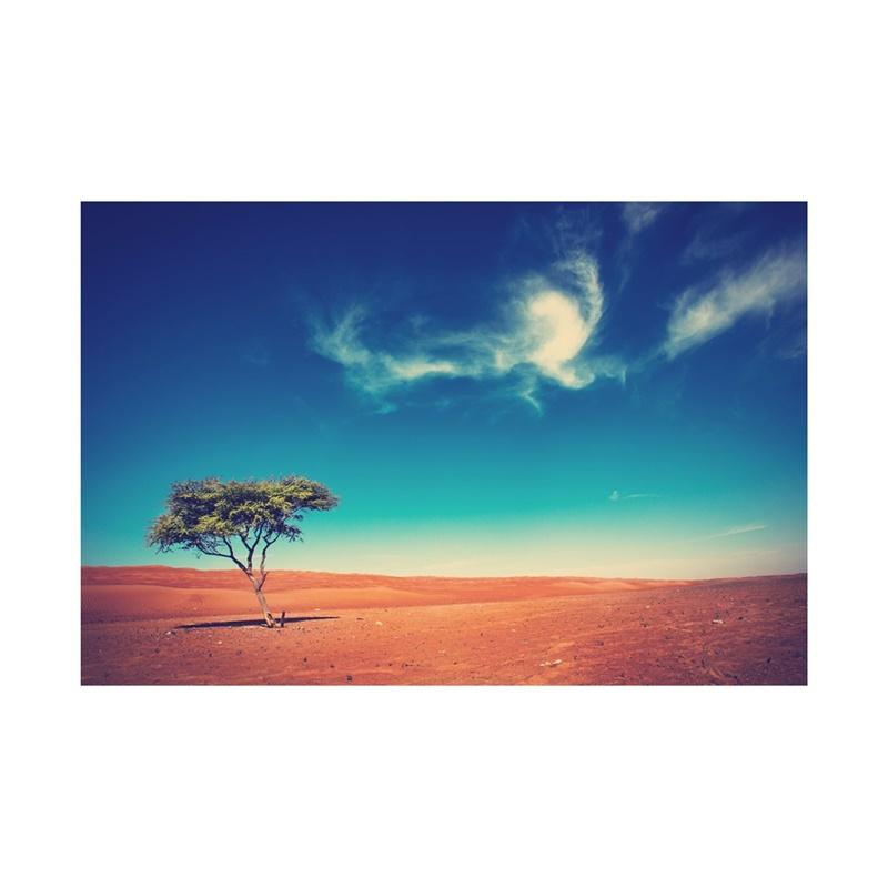 Desert Series Photography Background Natural Scenery Backdrop Photo Backdrop Studio Supplies Props Home Decor