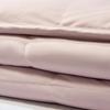 Mercury Home Textiles DH Cole Anti-mite Goose Down Quilt