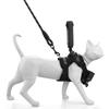 Comfortable Pet Camera Vest Supporting Two Action Cameras For Feline First Person View Photoshoots Easy Adjustment