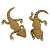 3d Printed Lizard Toy Lightweight Lizard Model Articulated Lizard Figurine with Movable Joints 3d Printed Model for Home Office
