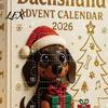 Christmas Tree Hanging Decoration 2026 Dachshund Advent Calendar with 24 Unique 2D Acrylic Ornaments, Festive Novelty Dog Gifts Countdown Box