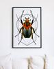Poster Worm Insect Geometry