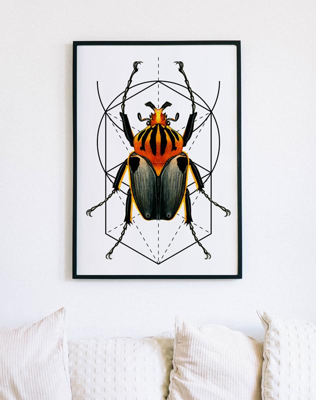 Poster Worm Insect Geometry