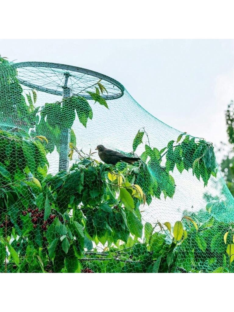 2m*5m Green Anti Bird Netting Pond Pool Protection Net Mesh Garden Plant Fruit Vegetables Flower Traps Netting Protect Pest Cont