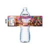 New PAW Patrol & Pikachu Party Cartoon Reusable Water Bottle Stickers
