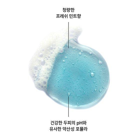 KLORANE Aqua Mint Deep Cleansing Cooling Shampoo 400ml Bonobono Planning/Single Item