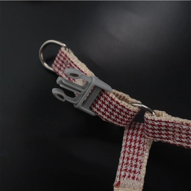 Dog Leash and Collar Set Cute Starfish Puppy Kitten Harness Striped Cotton Halter 4 Color for Little Dogs Leads Cat Accessories