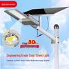 FY100 Solar LED Street Light