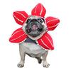Yousheng Demogorgon Hundehut Fleischfressende Blume Design Haustierkostüm Gezackte Blütenblätter Verstellbar Lustiger Haustierhut für Kleine Hunde Katzen Cosplay Party Foto Requisiten