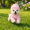 Giyim ve ayakkabı – Köpekler İçin Kapşonlu Kazaklar