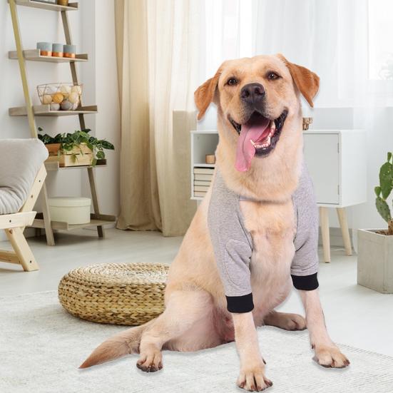 Dog Protector Front Chest Webbing Adjust Buckle Fixed Ring Comfortable Breathable After Injury Tool