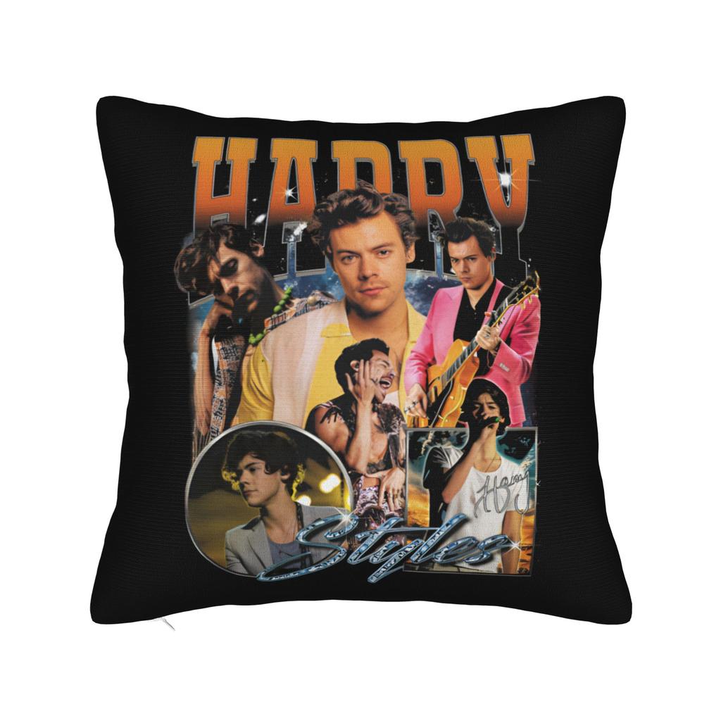 Harrys Styles Kiss All The Time Disco Occasionally Pillowcase Soft Fabric Cushion Cover Decorations Cat Pillow Case Cover Car