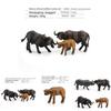 Pvc Solid African Water Buffalo Model With Realistic Design For Childrens Educational Toys