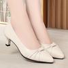 Pointed High Heels Women's New Spring and Autumn Thick Heel Middle Heel Single Shoes Women's Light Mouth Beige Work Shoes
