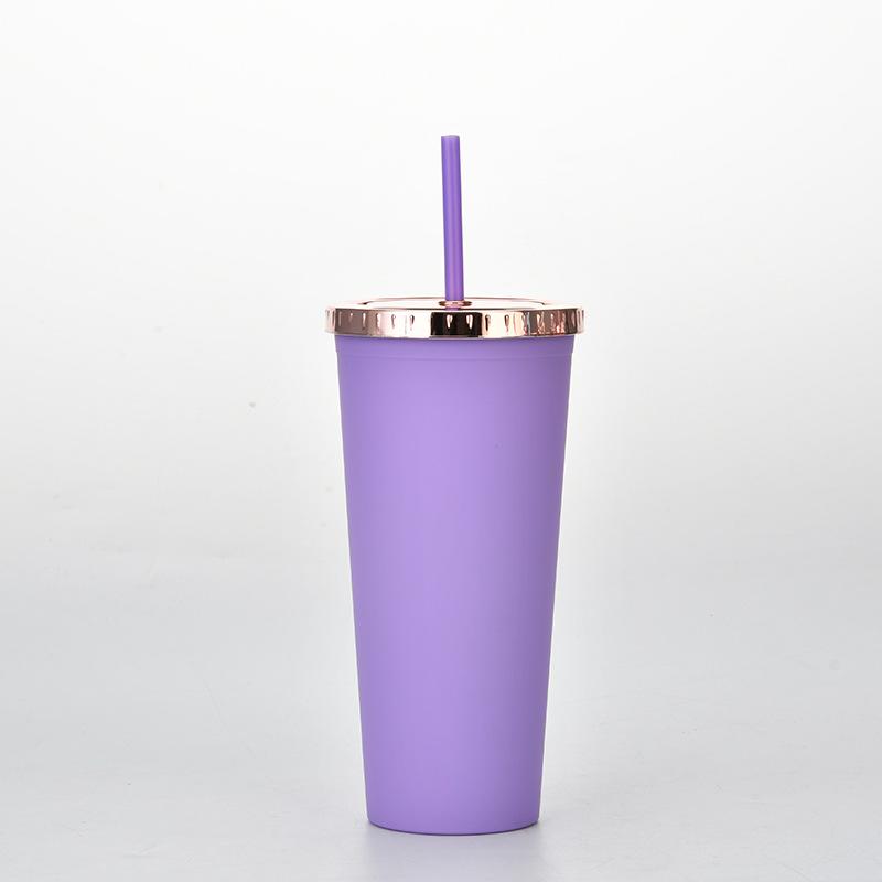 Plastic Water Cup Fashionable Rose Gold Cover Matte Multi-Color Double-Layer Plastic Straw Cup