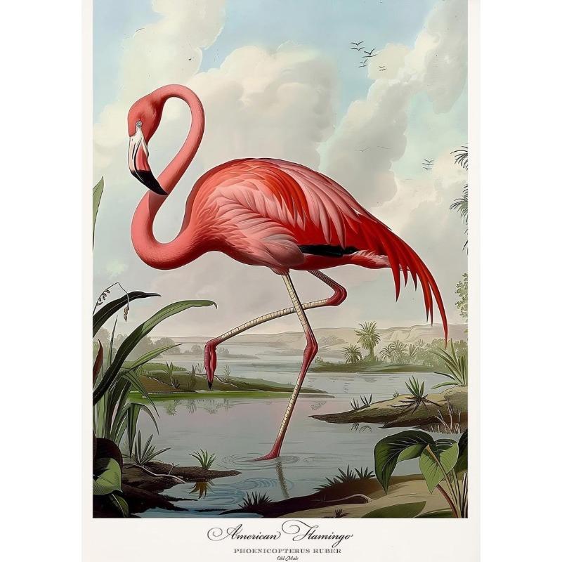 

Винтажный стиль Одюбона Птица Американский фламинго Бонапартова чайка Постер Принт Настенное искусство Картины Холст Живопись Комната Домашний декор 21cm×30cm NoFrame