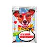 Gemma International ItÂ´s Your Birthday! Dog Greetings Card