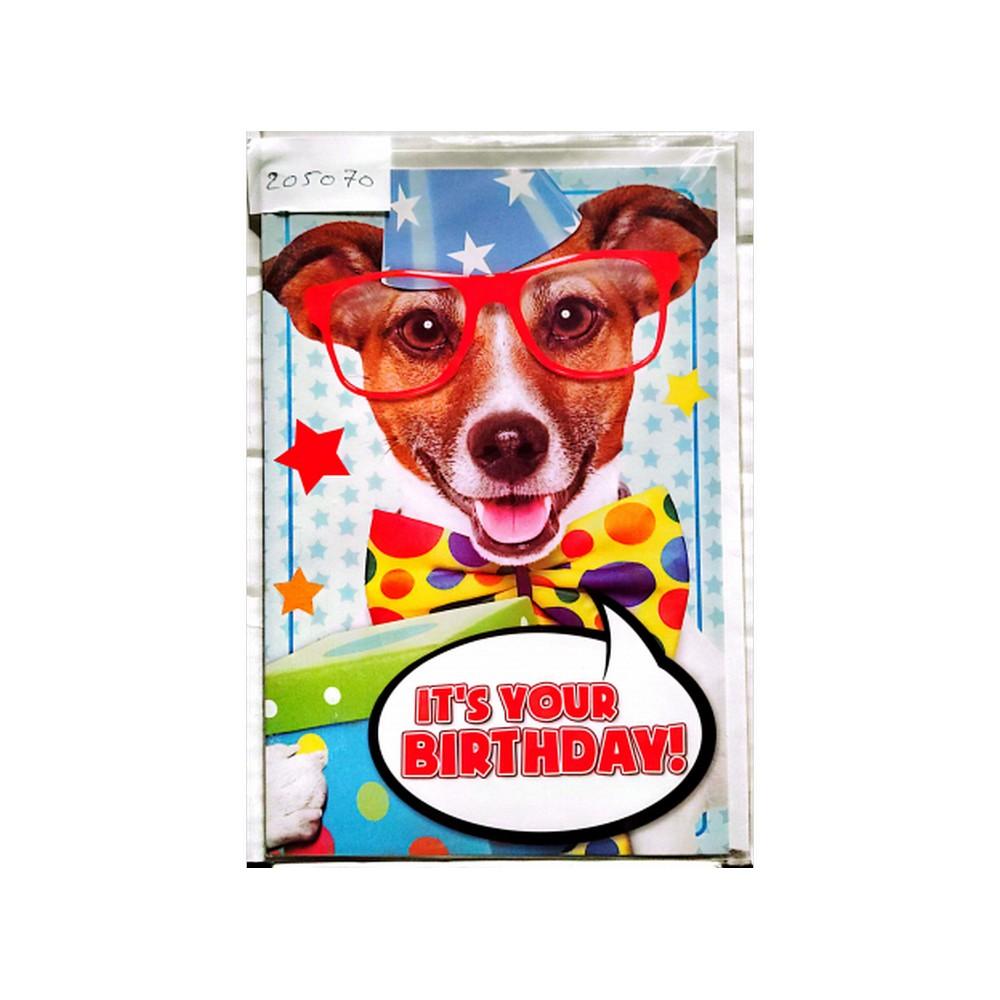 Gemma International ItÂ´s Your Birthday! Dog Greetings Card