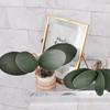 Artificial Phalaenopsis Simulation Moth Orchid Leaf Real-touch Orchid Leaves Flower Plant Home Decoration Landscaping