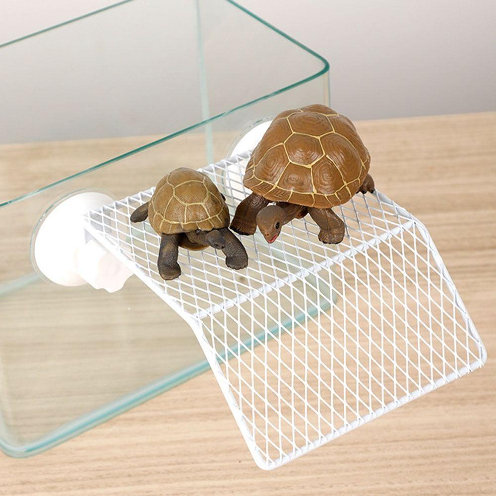 Suction Cup Turtle Basking Platform Wall-Mounted Turtle Dock Reptile Resting Platform  Aquarium