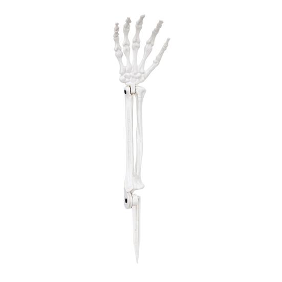 Halloween Skeleton Stake Decorations Creepy Skull Hand Arm with Stakes Realistic Skeleton Bone Model for Outdoor Yard Garden Lawn Decor