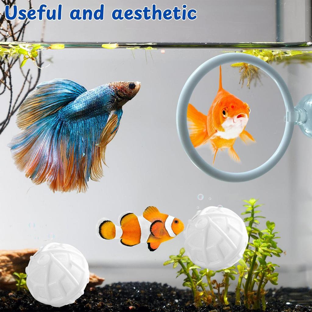 Anello per Esercizio Pesce Betta Anello per Alimentazione Pesce Betta Con Ventosa e 3 Palline Filtro per Acquario Giocattoli per Esercizio Tartarughe Betta