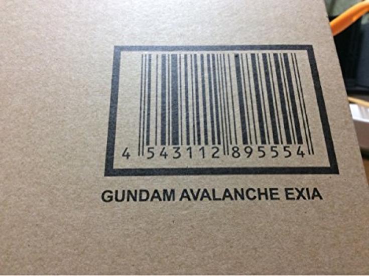 METAL BUILD Gundam Avalanche Exia Standard Edition Web (Tamashii Exclusive)
