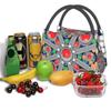 Tafzimth Kabyle Fibula Style Insulated Lunch Tote Bag for Women Ethnic Geometric Berber Portable Cooler Thermal Food Lunch Box