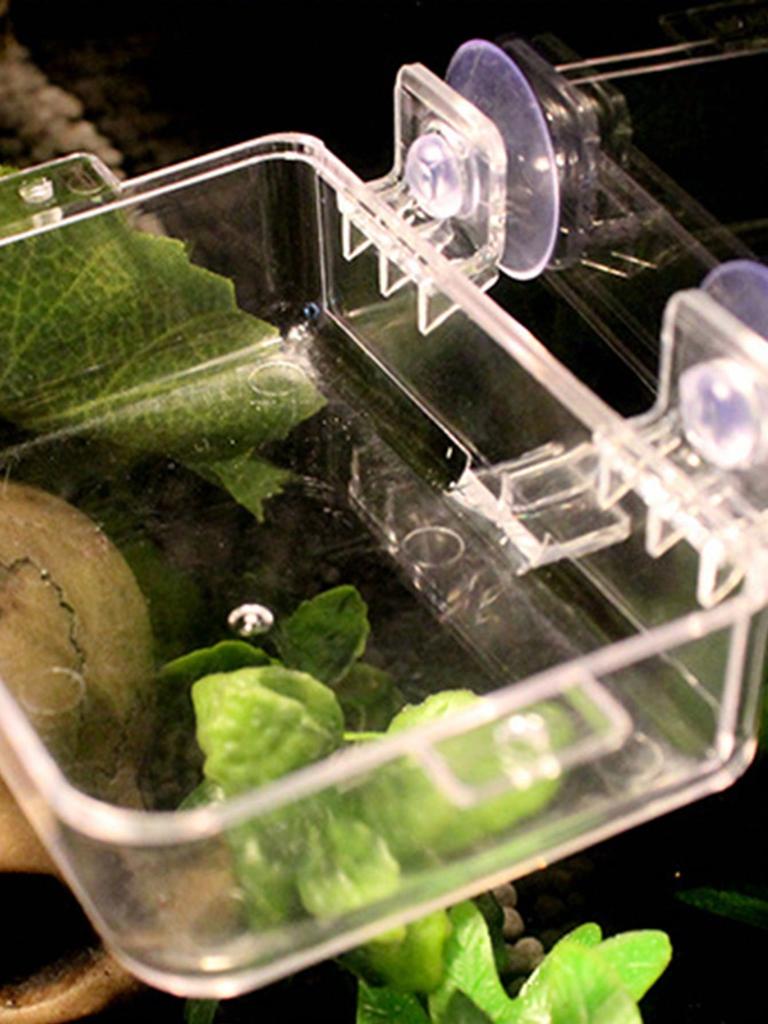 1pc-Crawler anti escape feeder, water basin anti escape pet feeder, suitable for turtles and lizards - random color