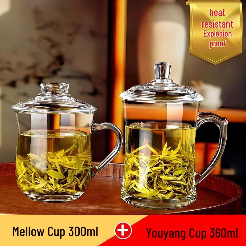 HANDUNYOU Thickened Heat-Resistant Glass Tea Water Cup with Handle & Lid