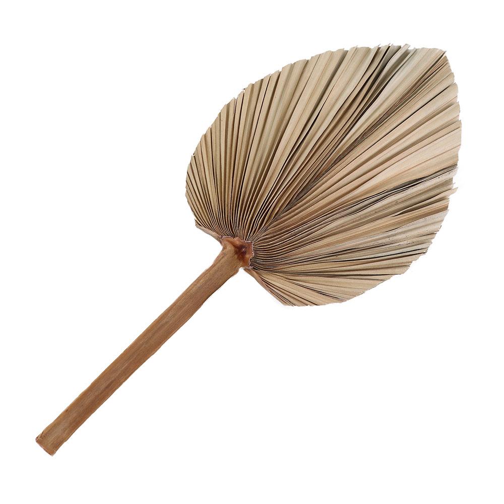 Wedding Decor Office Tropical Natural Trimmed Boho Fan Leaf Dried Plant Leaves Palm Spears