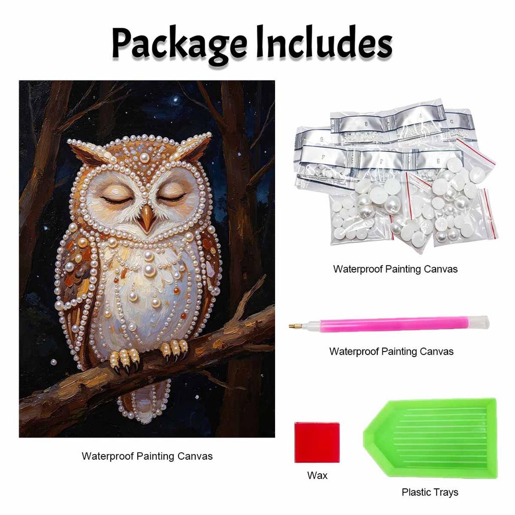 Sparkling Pearl Painting on Stretched Frame Sleeping Owl at Night DIY Bead Art Canvas Relaxing Hobby Gift for Craft Lovers Home Decor