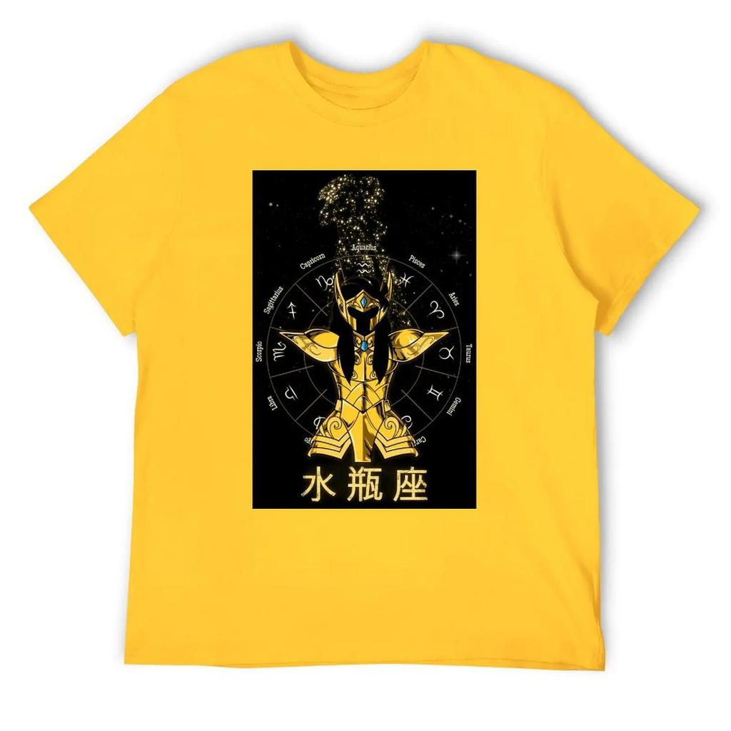 Aquarius Twelve Constellation (15) T-shirt Round Neck Sports Top Tee Premium Home Graphic USA Size
