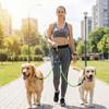 Durability Detachable Dog Leashes with Safety Ergonomic Handle and Reflective for Enduring Performances