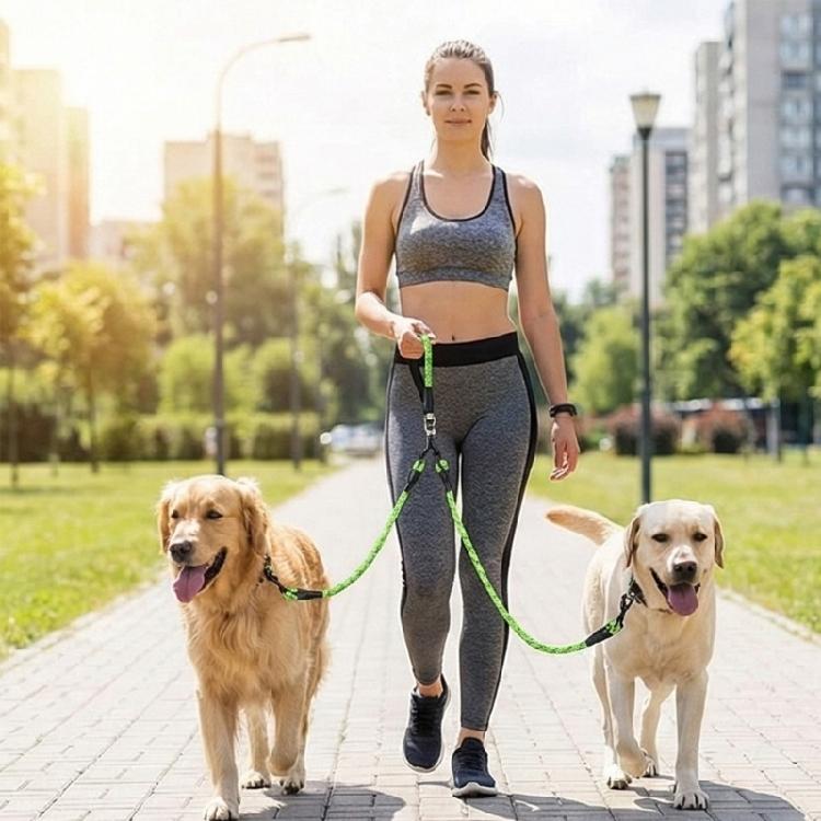 Durability Detachable Dog Leashes with Safety Ergonomic Handle and Reflective for Enduring Performances