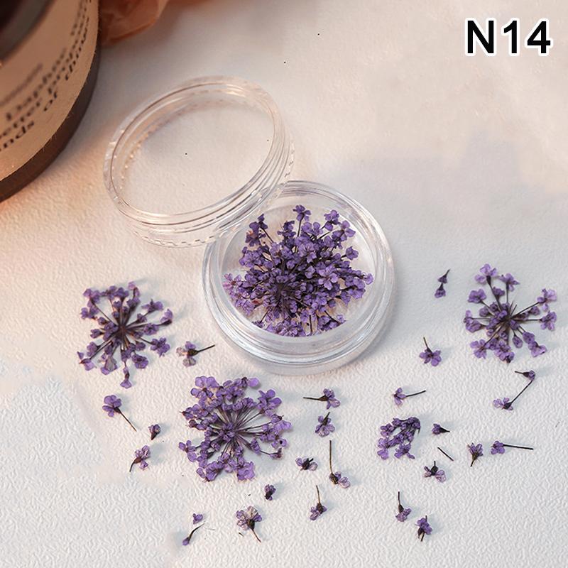 5 st/ask 3D torkade blommor nagelkonstdekorationer torkade blommor klistermärken gör-det-själv manikyr berlocker design för nageltillbehör