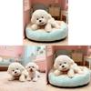 Plush Bichon Dog Toy With Soft Pp Cotton Filling For Kids Gift And Play